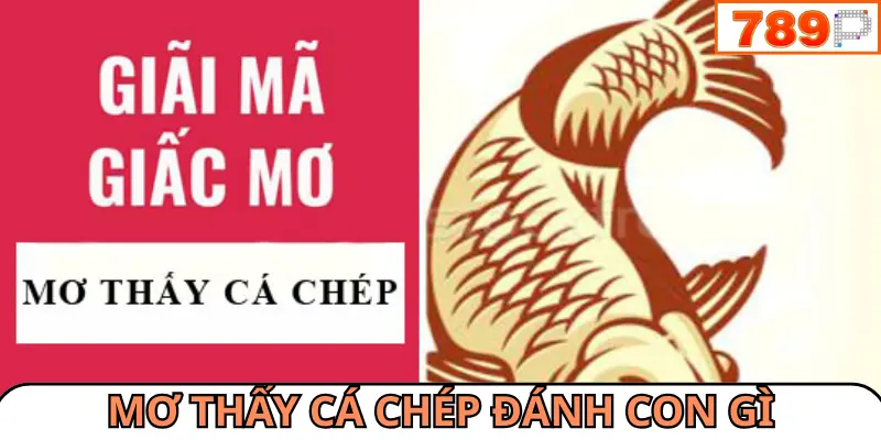 Mơ thấy cá chép đánh con gì